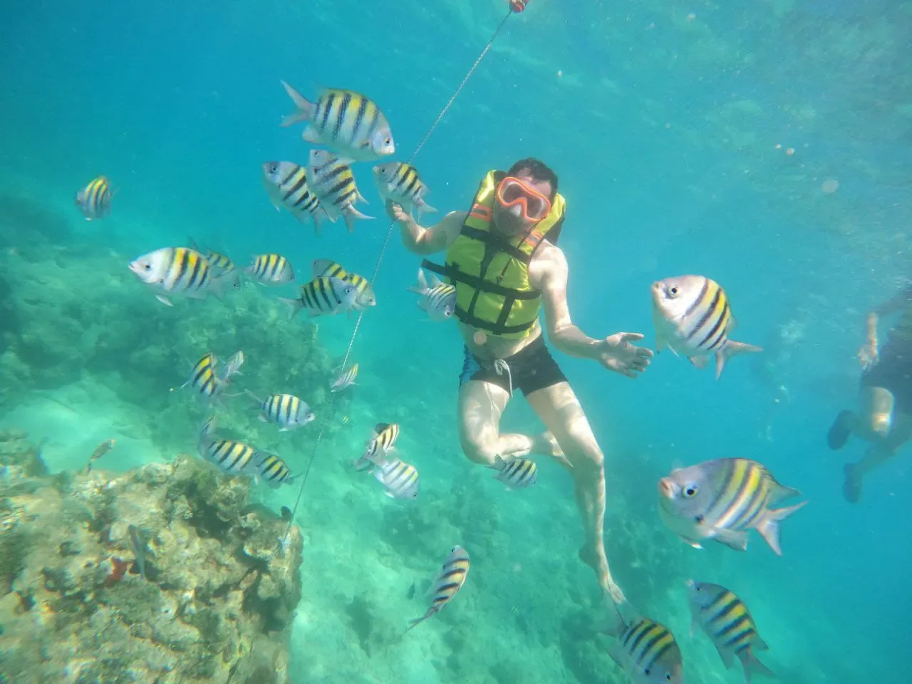 Playa Tranquila VIP + Snorkel + Mapaches (Bus), Cartagena