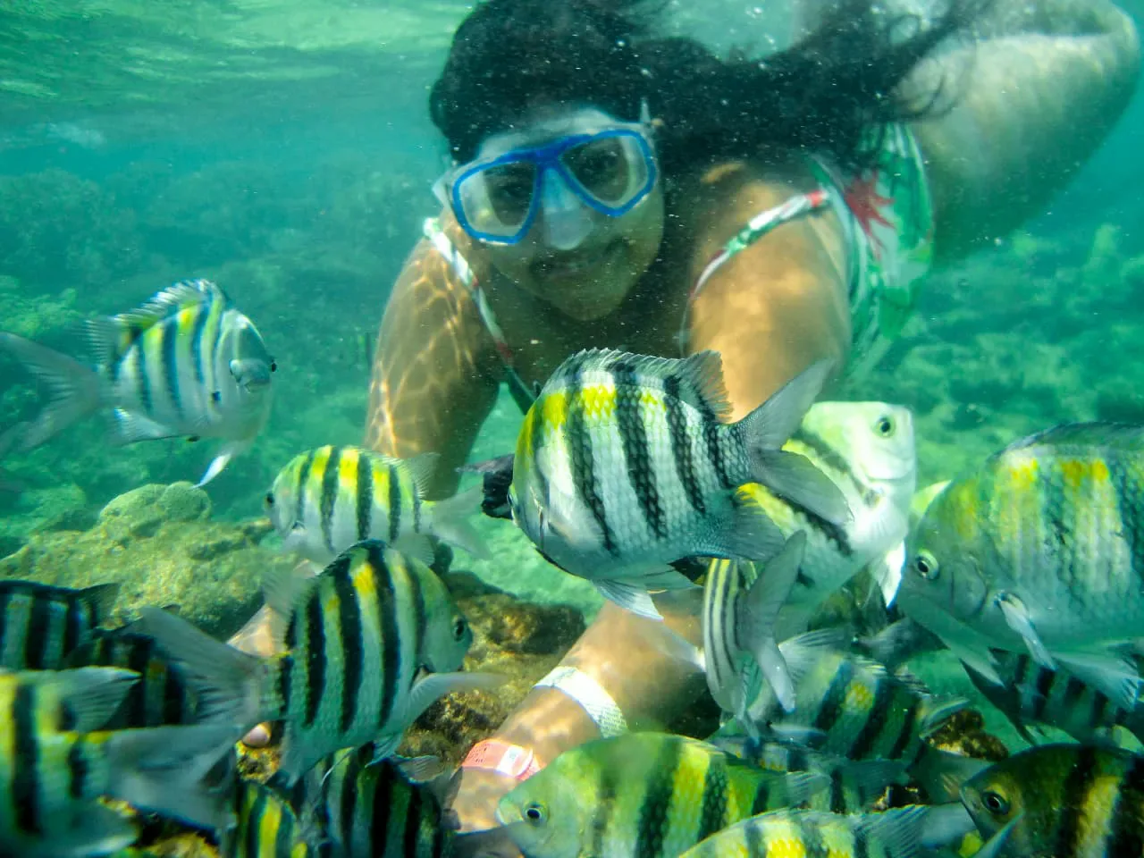 Bahía Concha + Snorkel (Parque Tayrona), Santa Marta