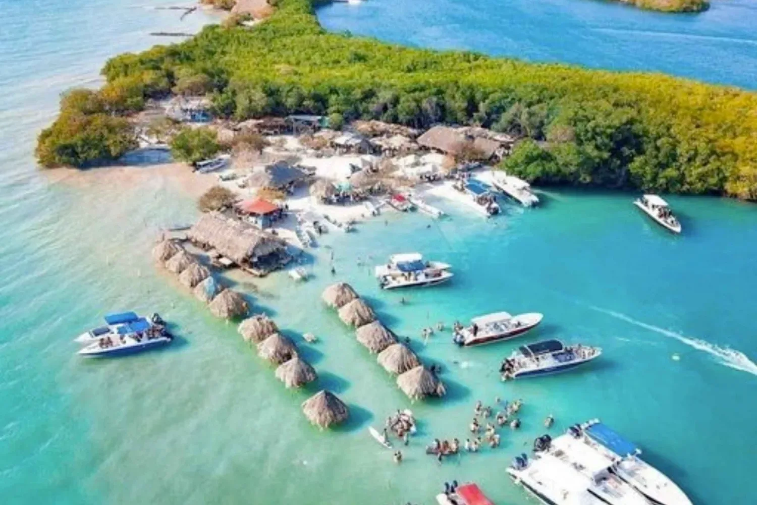Cholón Forever – Cartagena, Cartagena