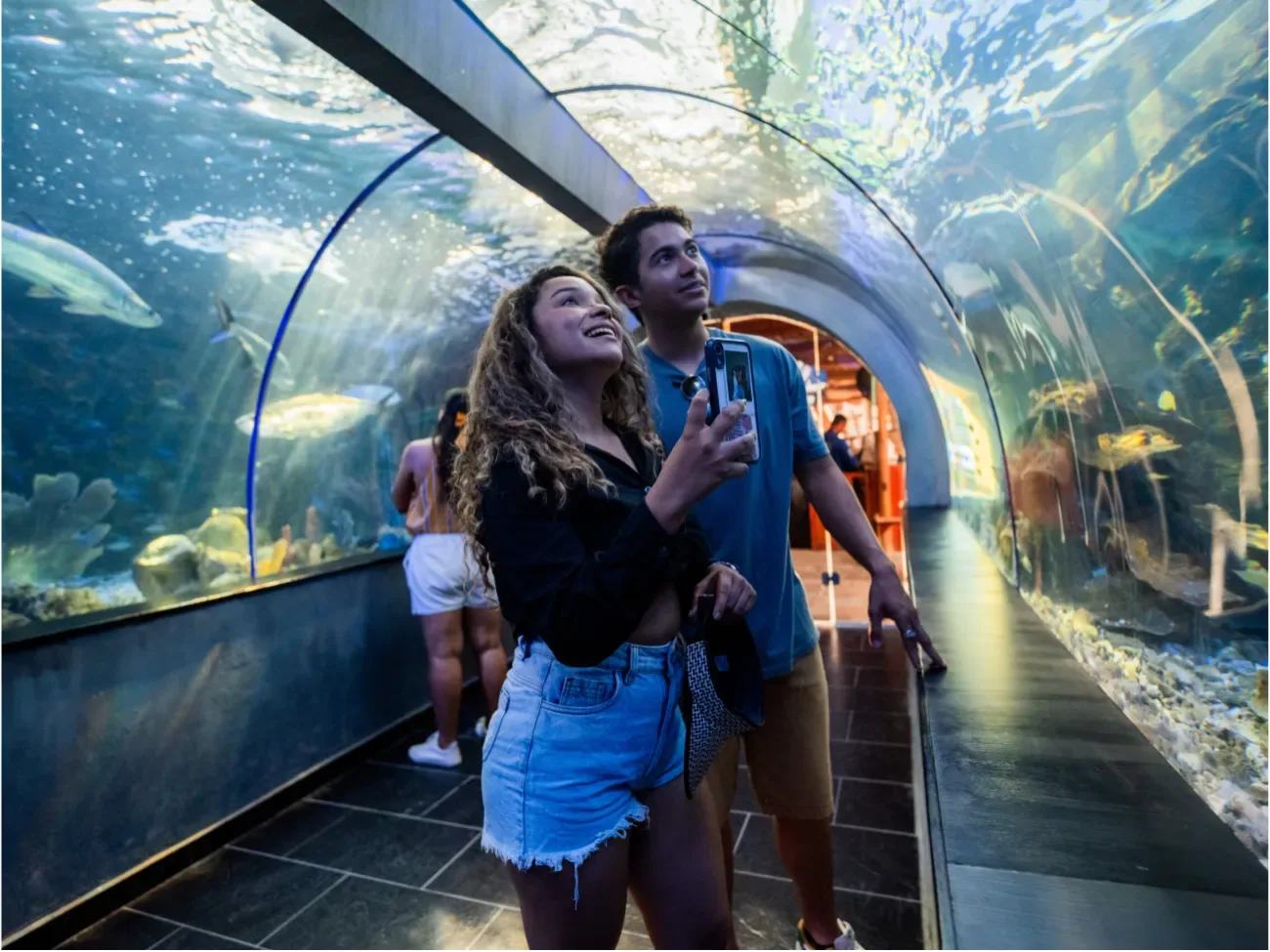 Acuario Rodadero – Santa Marta, Santa Marta