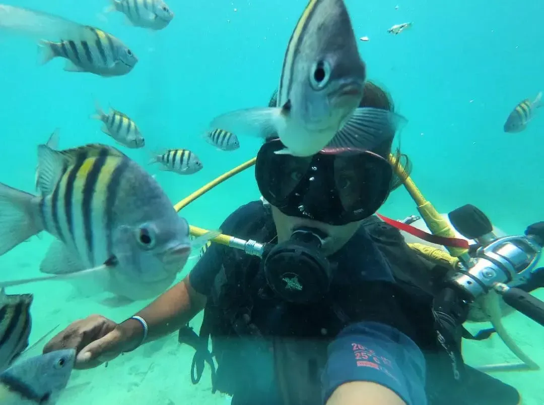Playa Blanca + Buceo (Bus), Cartagena